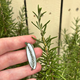 Rosemary 40mm Soft Enamel Pin