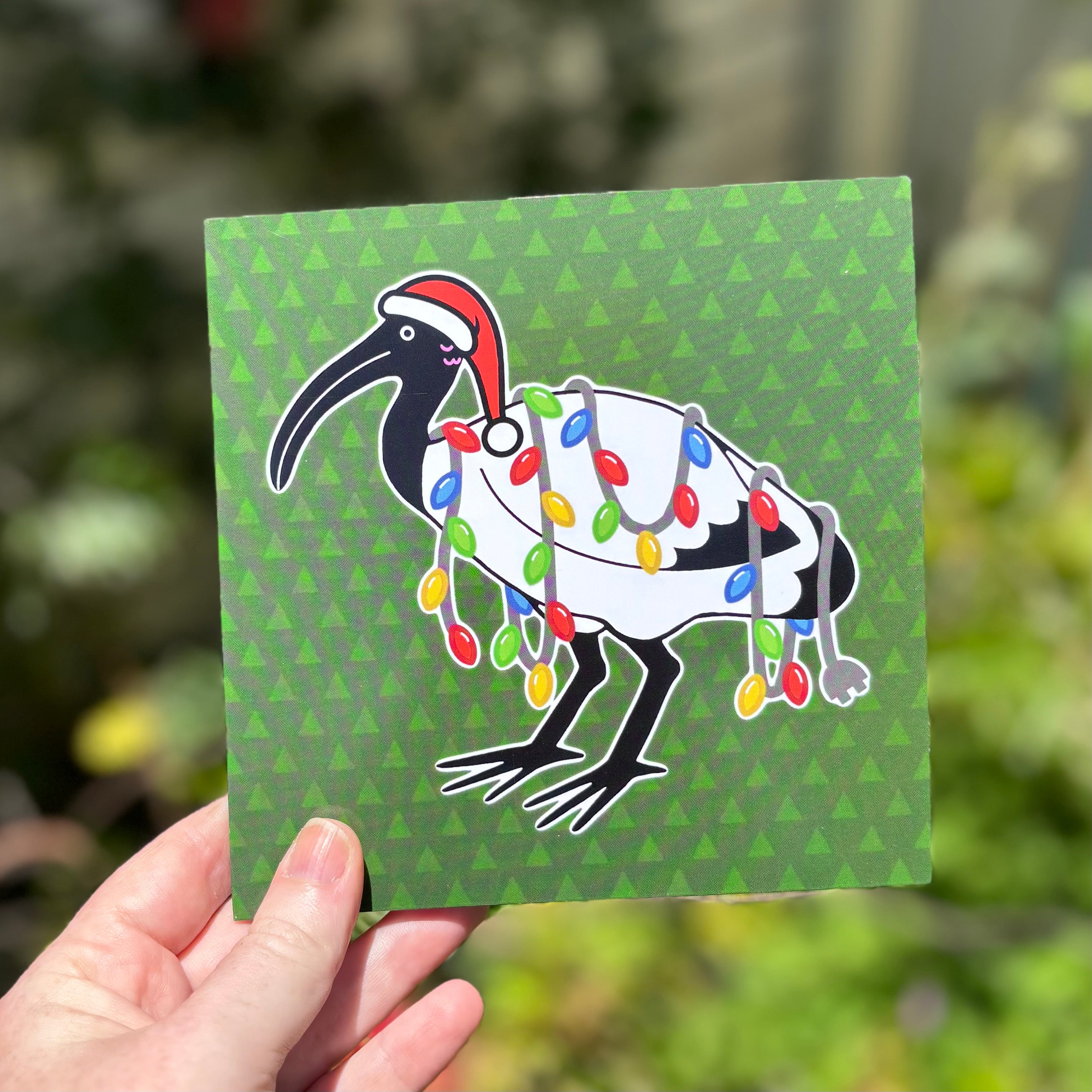 Ibis Christmas Card