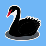 Black Swan Sticker