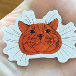 Orange Cat &quot;Bilbo&quot; Weather-resistant Vinyl Stickers