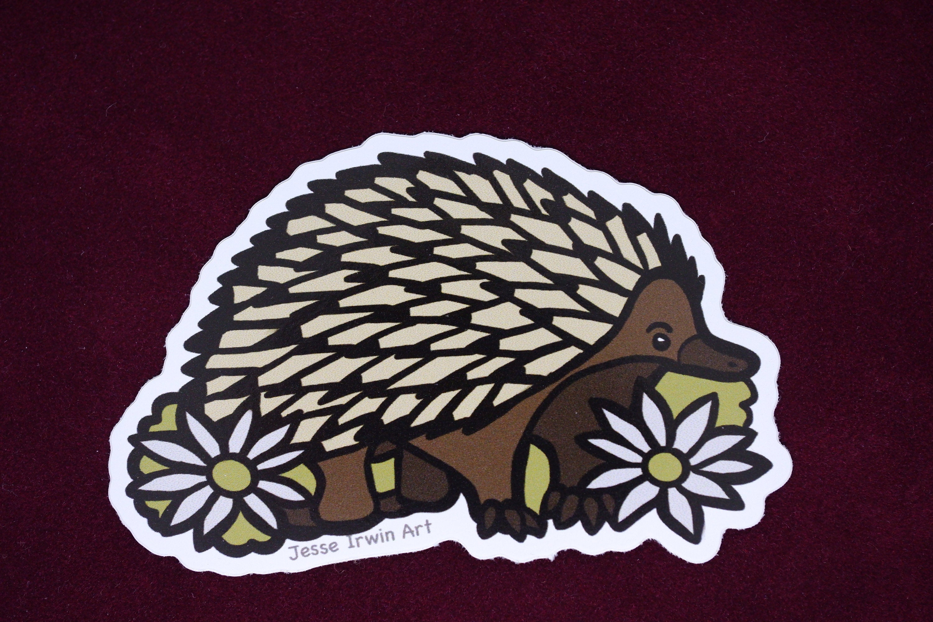 Echidna and Flannel Flower Vinyl Sticker - Australian Animals and Flowers - Die Cut Vinyl Sticker - Laptop Decal