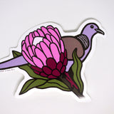 Spotted Dove and Protea Vinyl Sticker - Introduced Species - Australian Animals and Flowers - Die Cut Vinyl Sticker - Laptop Decal