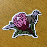 Spotted Dove and Protea Vinyl Sticker - Introduced Species - Australian Animals and Flowers - Die Cut Vinyl Sticker - Laptop Decal