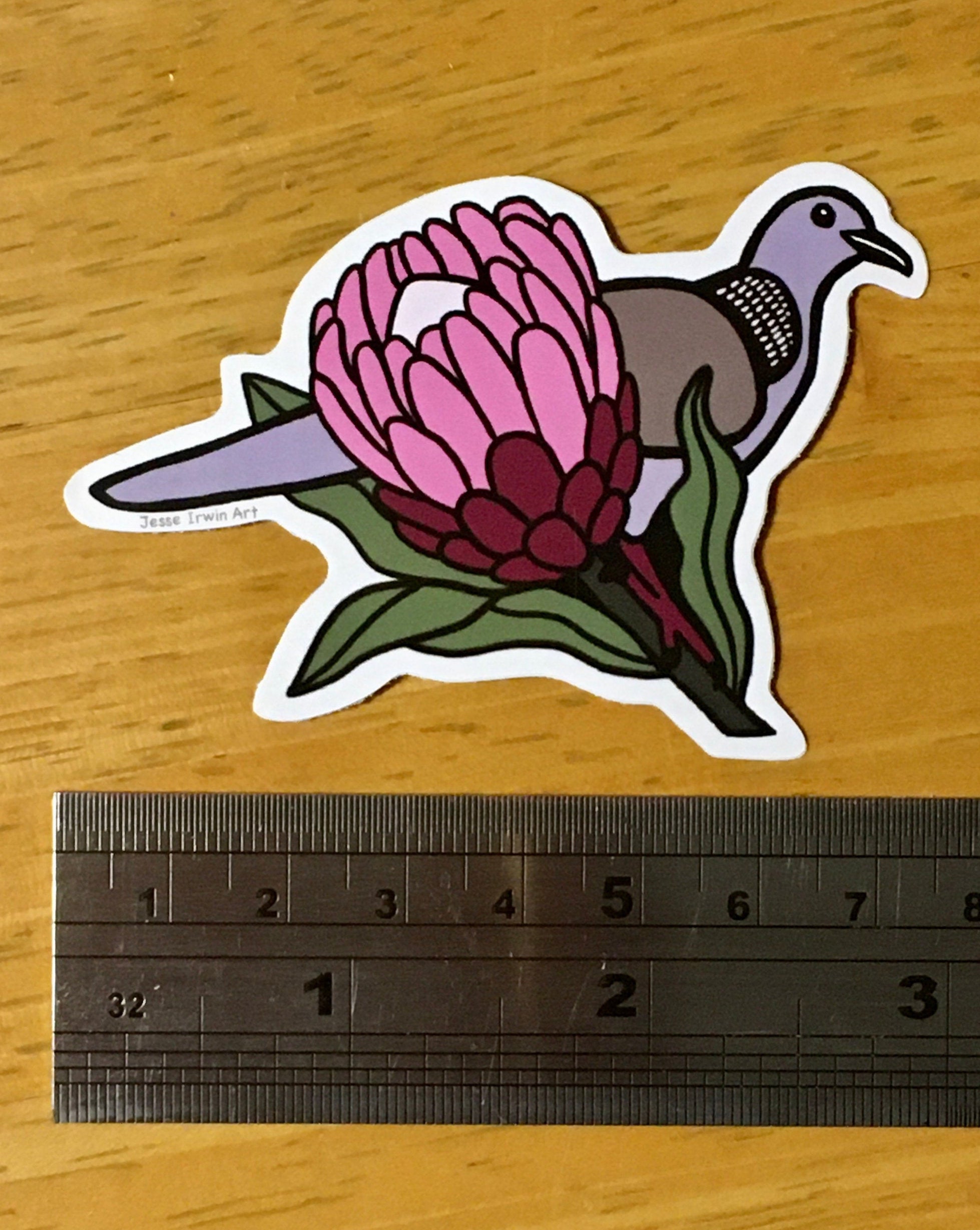 Spotted Dove and Protea Vinyl Sticker - Introduced Species - Australian Animals and Flowers - Die Cut Vinyl Sticker - Laptop Decal