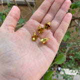Miniature Golden Bells