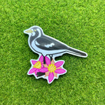 Peewee/Magpie-Lark and Calytrix Carinata Vinyl Sticker - Australian Animals and Flowers - Die Cut Vinyl Sticker - Laptop Decal