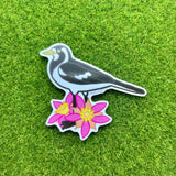 Peewee/Magpie-Lark and Calytrix Carinata Vinyl Sticker - Australian Animals and Flowers - Die Cut Vinyl Sticker - Laptop Decal