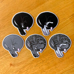 Curled Cats Vinyl Stickers - Die Cut Vinyl Sticker - Cute Laptop Decal - Sleeping Cat Kitten - 13 Designs to Choose From