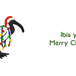 Christmas Ibis Card - festive Australian bird - Three text options - Merry Christmas, Happy New Year, Happy Holidays - envelope included