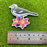 Peewee/Magpie-Lark and Calytrix Carinata Vinyl Sticker - Australian Animals and Flowers - Die Cut Vinyl Sticker - Laptop Decal