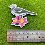 Peewee/Magpie-Lark and Calytrix Carinata Vinyl Sticker - Australian Animals and Flowers - Die Cut Vinyl Sticker - Laptop Decal