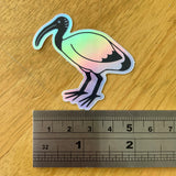 Australian Ibis - Bin Chicken - Holo Rainbow Vinyl Sticker - Holographic Silver Phrase - Die Cut Vinyl Sticker - Laptop Decal