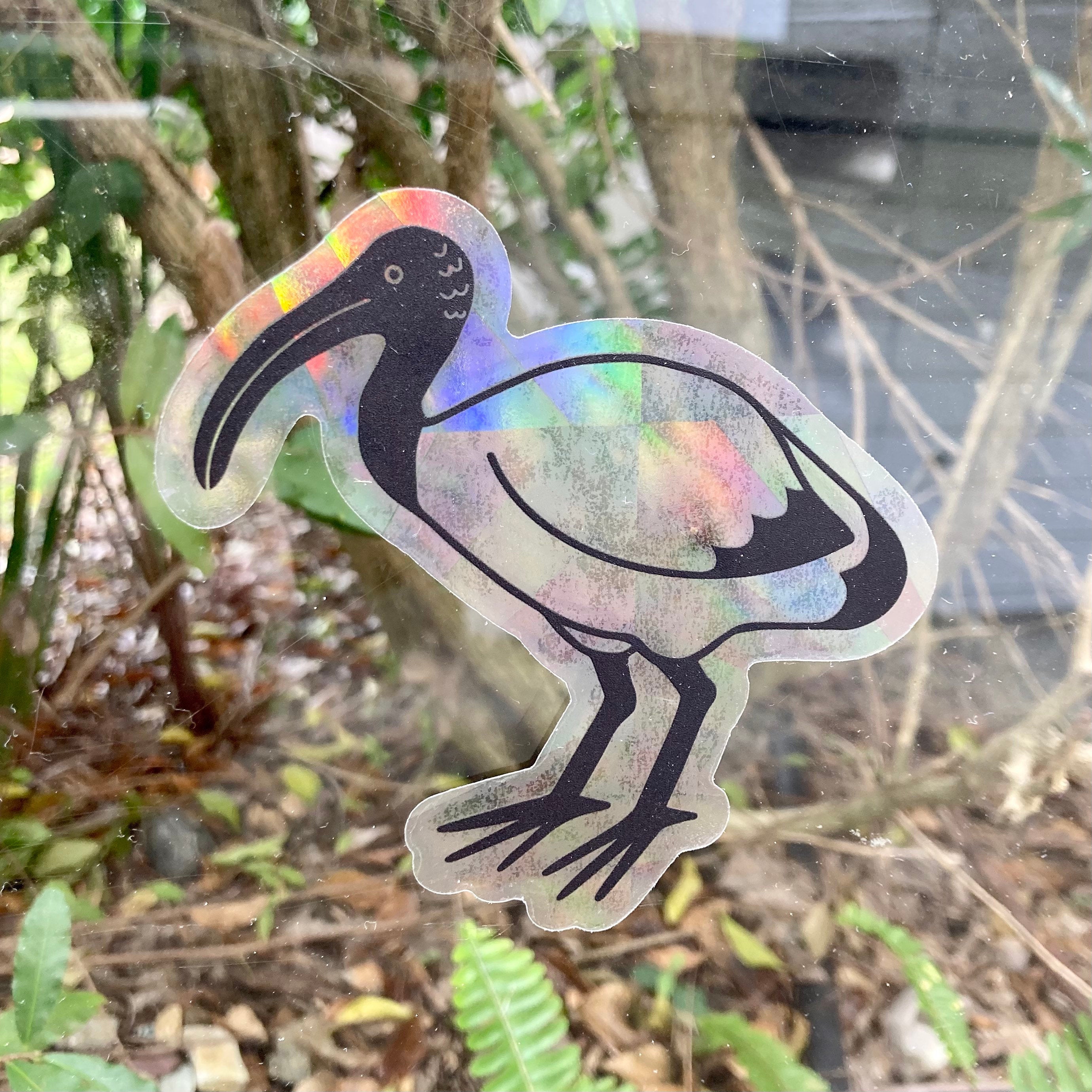 Australian Ibis Prismatic Rainbow Suncatcher Decal Sticker - 4” wide, transparent sun catcher - stained glass window effect