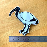 Big Transparent Ibis Sticker